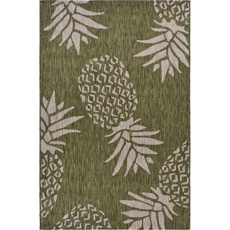 LR RESOURCES LR Resources CATAL81500GRB5070 Pineapple Escape Rectangle Indoor & Outdoor Area Rug  Dark Green & Beige - 5 x 7 ft. CATAL81500GRB5070